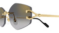 CARTIER 0620S 001