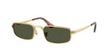 RAY-BAN 3927 001/31