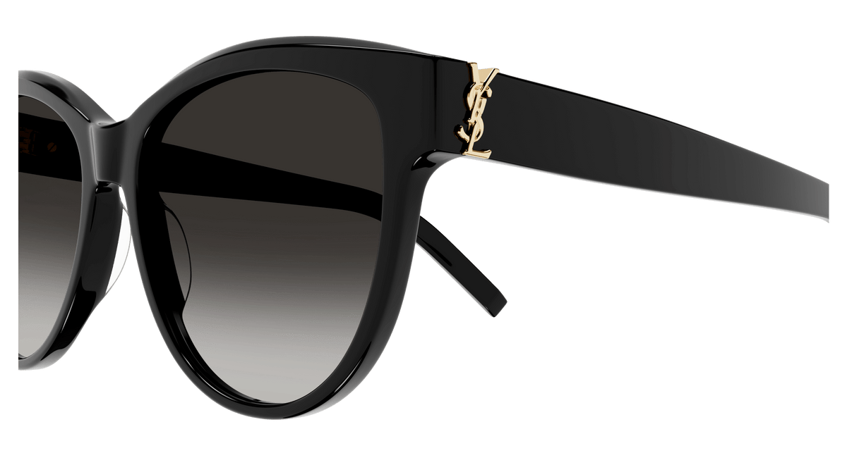 SAINT LAURENT M107 002