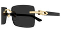 CARTIER 0579S 001