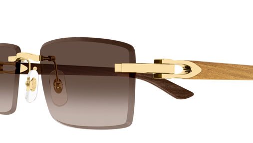 CARTIER 0582S 003