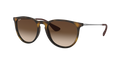 RAY-BAN 4171 865/13