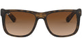 RAY-BAN 4165 710/13