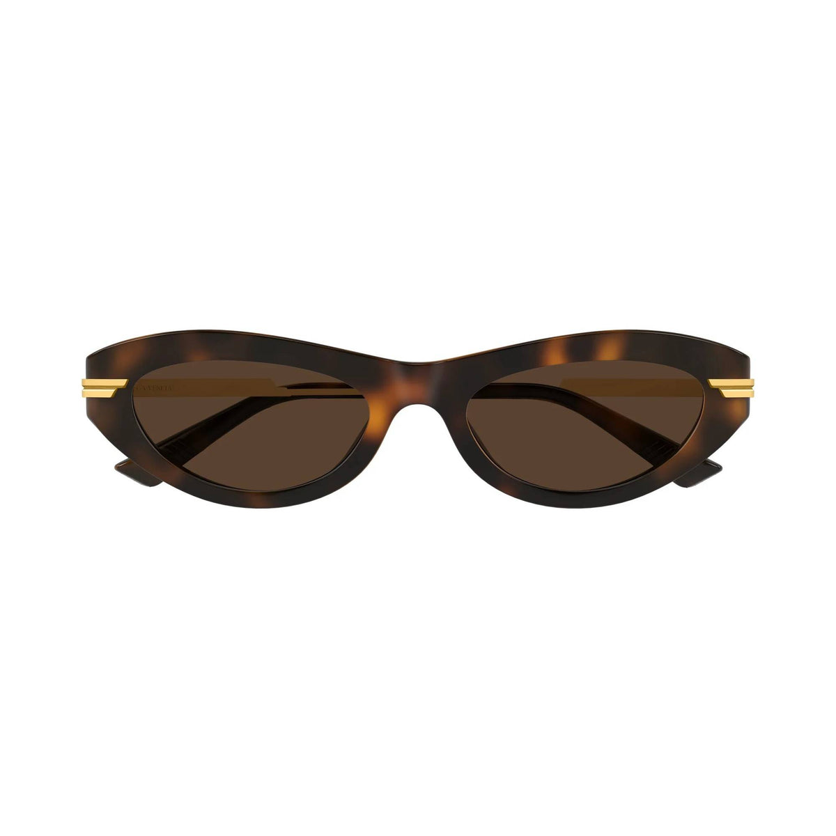 Bottega Veneta Güneş Gözlüğü 1368S 002 Unisex Panthos Çerçeve Havana