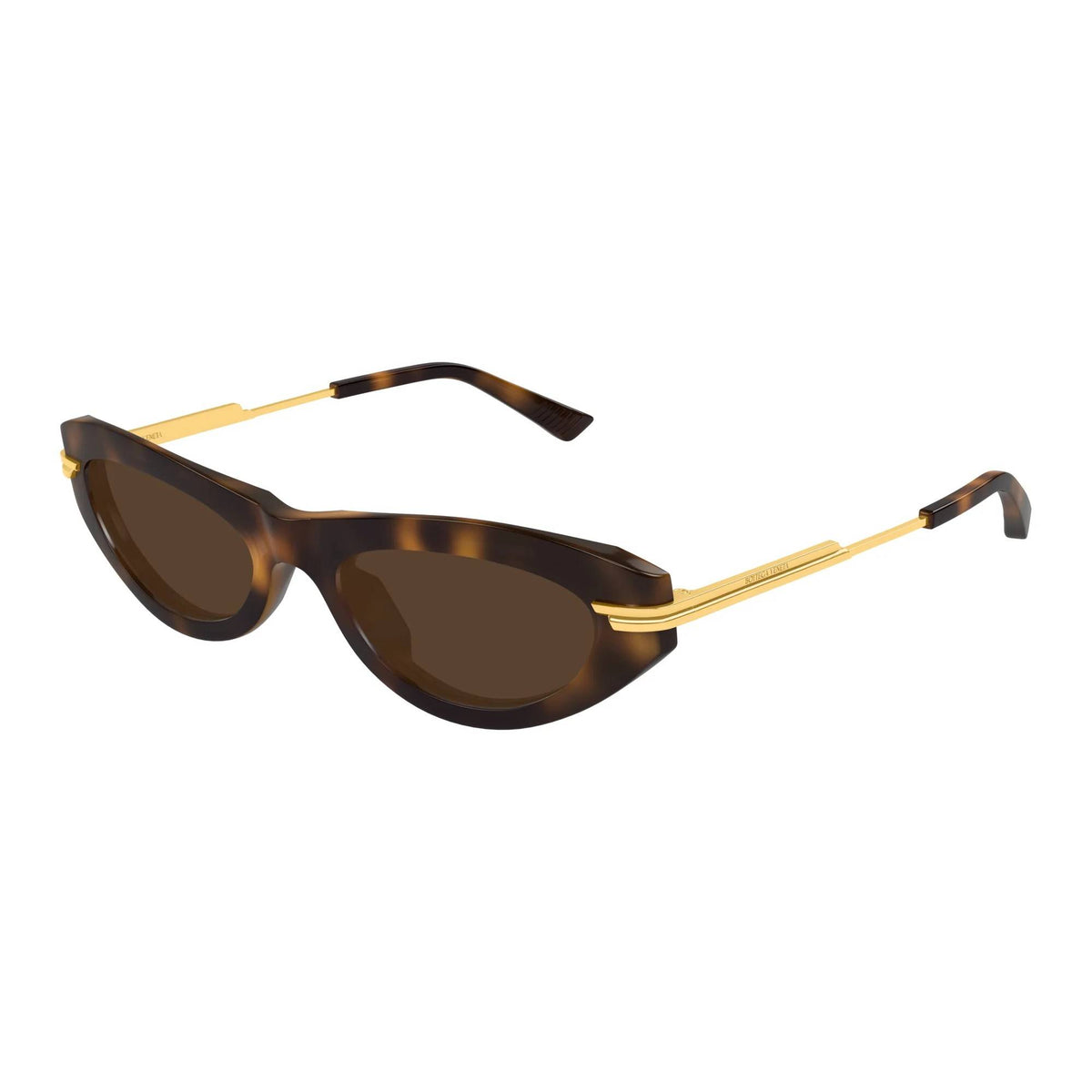 Bottega Veneta Güneş Gözlüğü 1368S 002 Unisex Panthos Çerçeve Havana