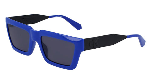 CALVIN KLEIN 22641S 400
