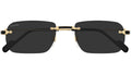 CARTIER 0498S 001