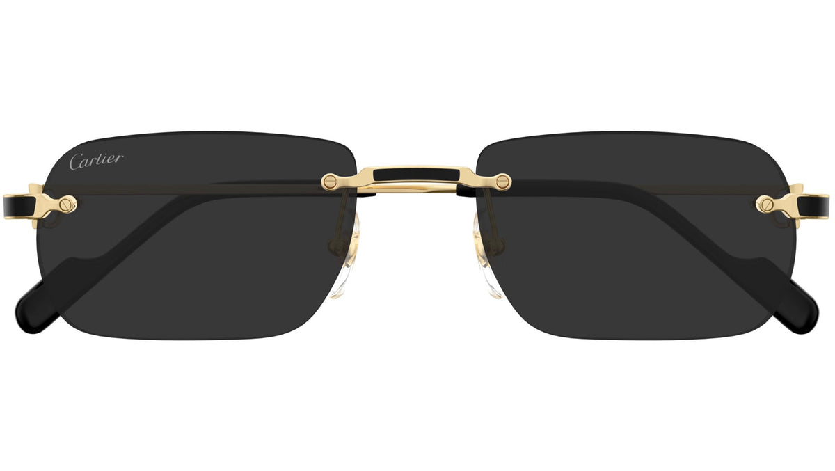 CARTIER 0498S 001