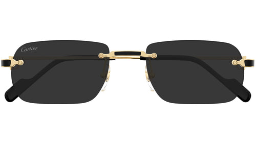 CARTIER 0498S 001