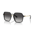 DOLCE GABBANA 4422 501/8G
