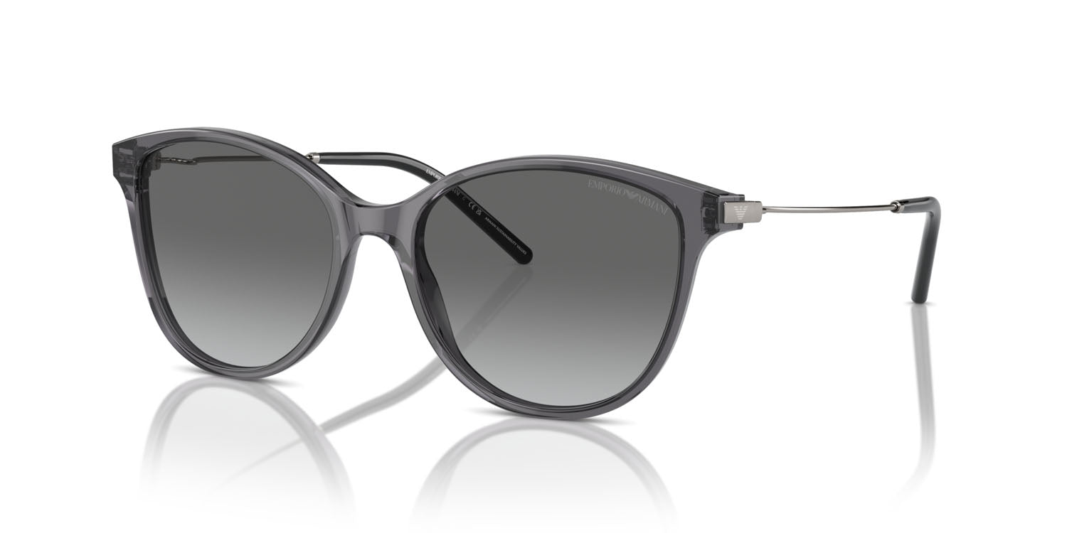 EMPORIO ARMANI 4220 6106/11