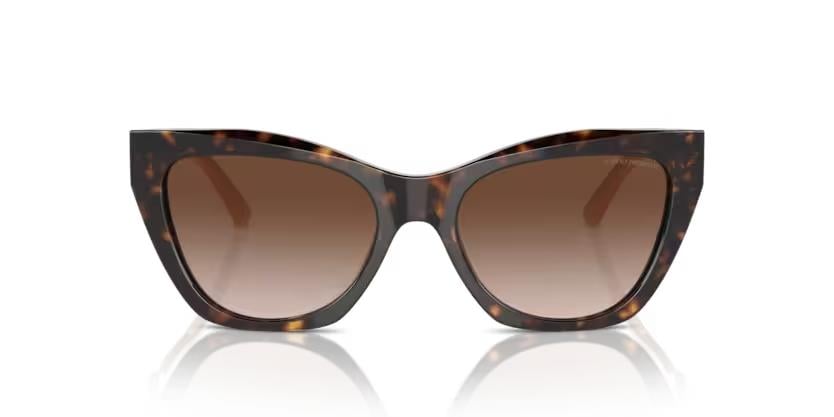 EMPORIO ARMANI 4176 5879/13