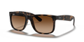 RAY-BAN 4165 710/13
