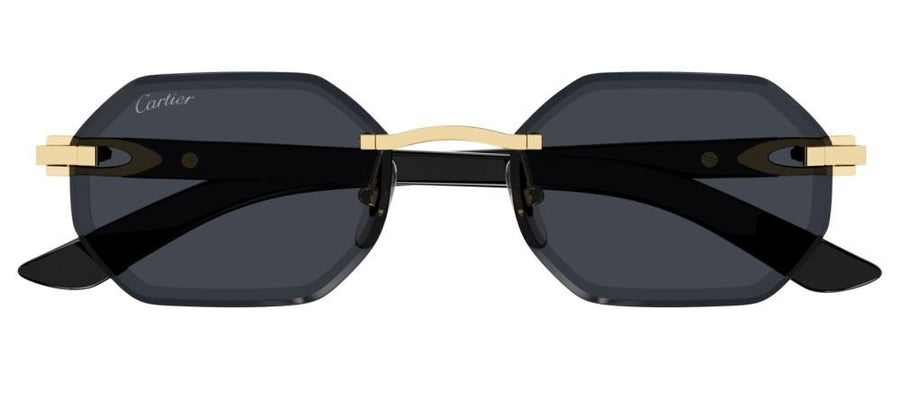 CARTIER 0439S 007