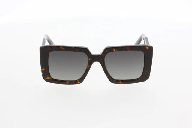 OSSE 3703 02
