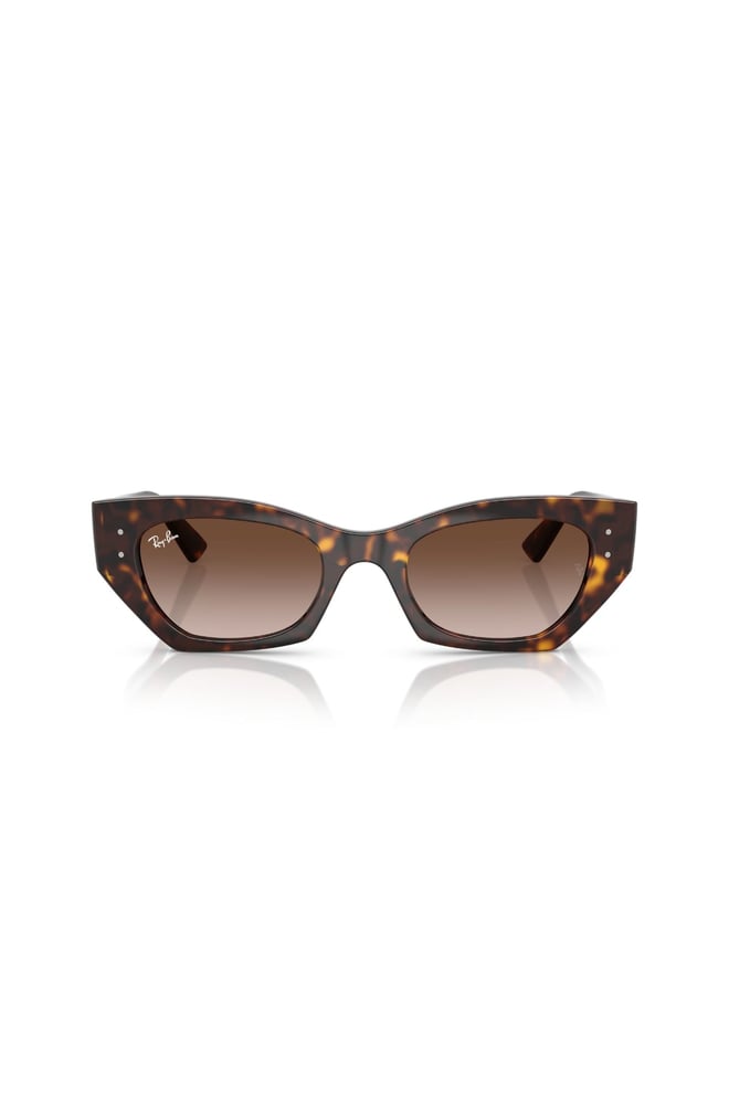 RAY-BAN 4430 1359/13