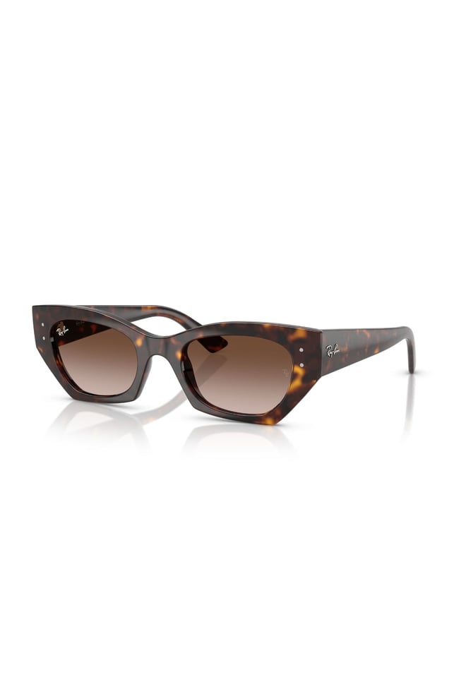 RAY-BAN 4430 1359/13