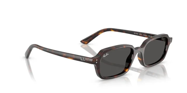 RAY-BAN 4455 1359/87