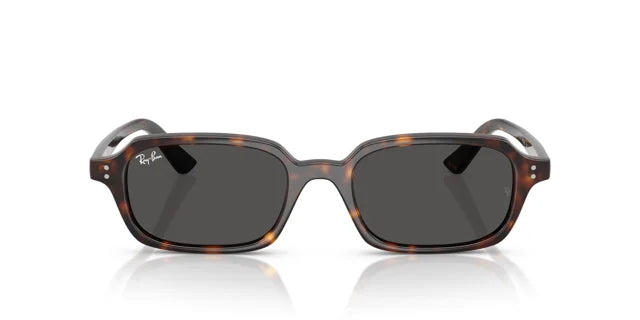 RAY-BAN 4455 1359/87
