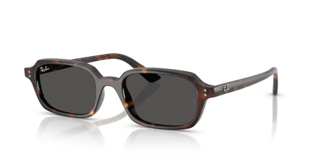 RAY-BAN 4455 1359/87