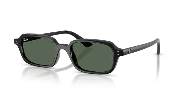 RAY-BAN 4455 6677/71