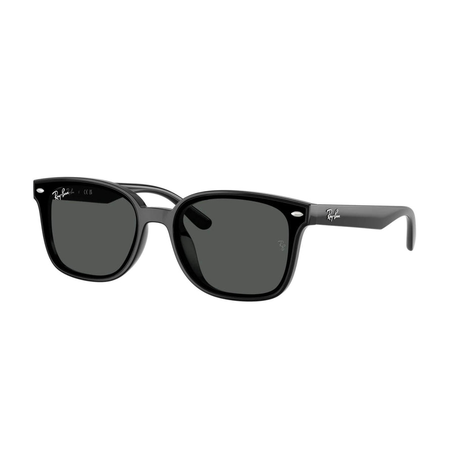 RAY-BAN 4461D 601/87