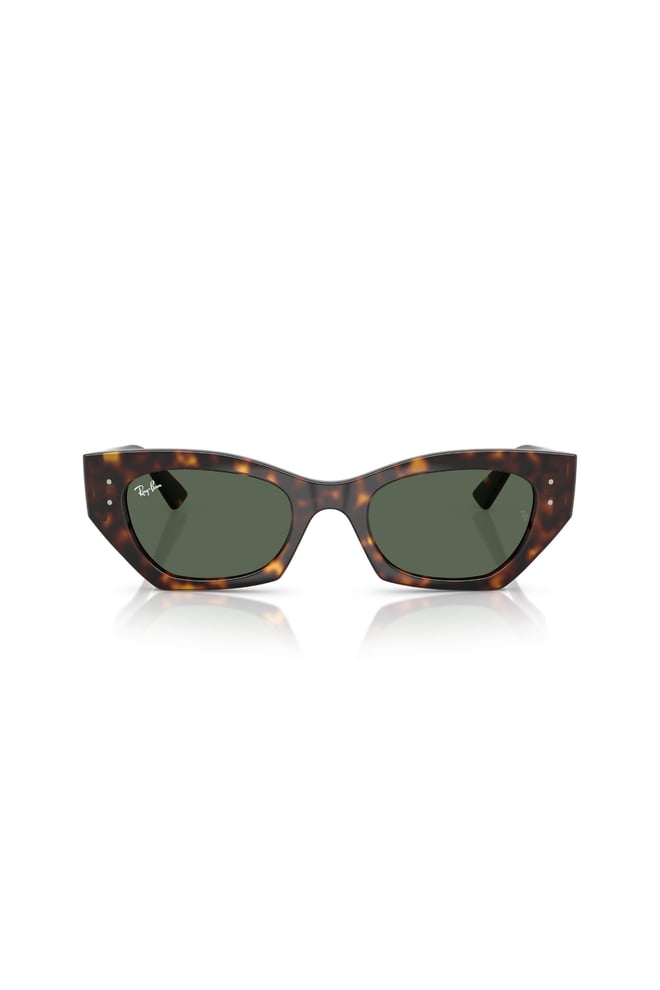 RAY-BAN 4430 1359/71