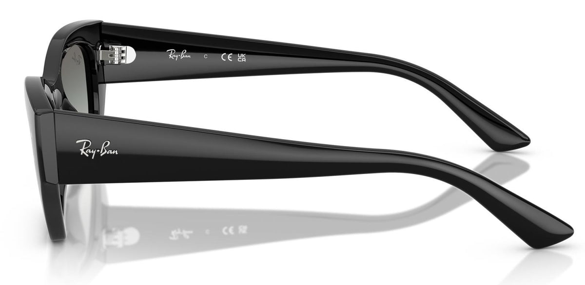 RAY-BAN 4430 6677/11