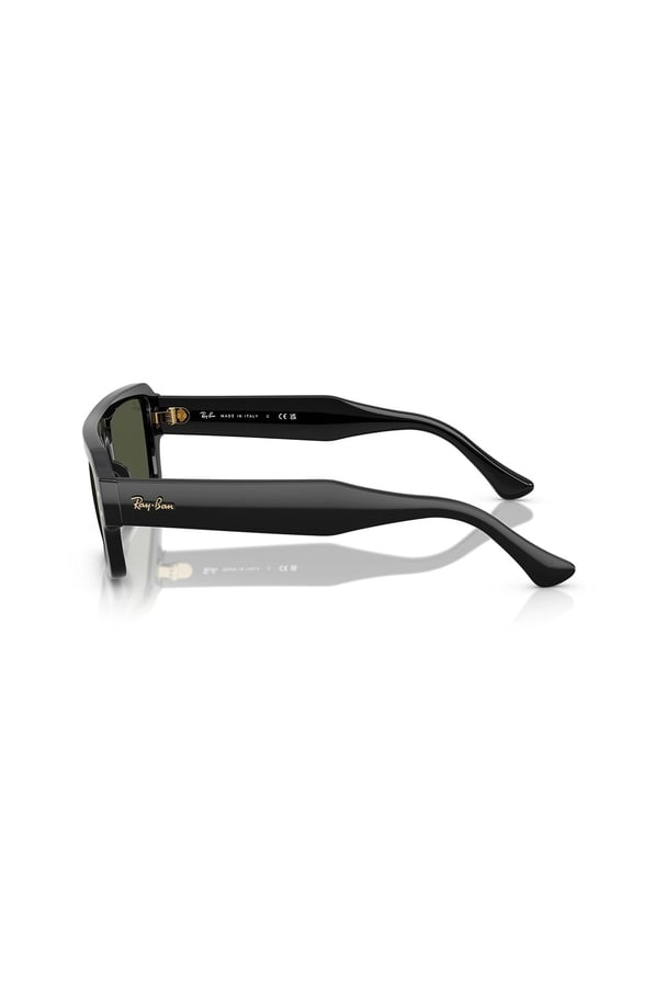 RAY-BAN 4454 6677/31